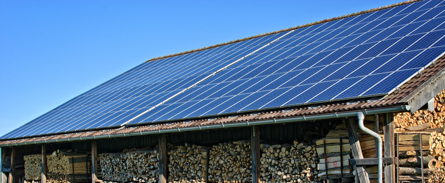 Tonik Energy renewable electricity SEO & PPC 